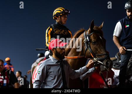 Clapton und Dylan Davis starten zum G1 Emirates Dubai World Cup 2024, Meydan Racecourse, 24.03.30. Credit JTW equine Images / Alamy. Stockfoto