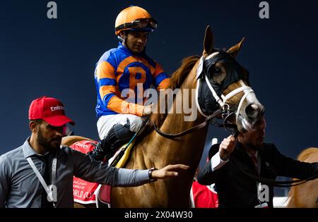 Crupi und Luis Saez starten zum G1 Emirates Dubai World Cup 2024, Meydan Racecourse, 24.03.30. Credit JTW equine Images / Alamy. Stockfoto