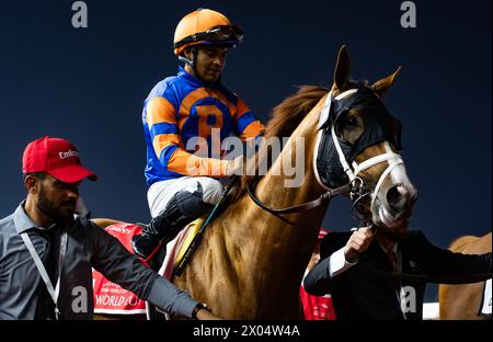 Crupi und Luis Saez starten zum G1 Emirates Dubai World Cup 2024, Meydan Racecourse, 24.03.30. Credit JTW equine Images / Alamy. Stockfoto