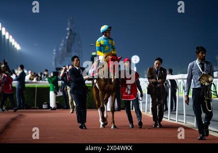 Derma Sotogake und Oisin Murphy starten zum G1 Dubai World Cup 2024, Meydan Racecourse, 24.03.30. Credit JTW equine Images / Alamy. Stockfoto