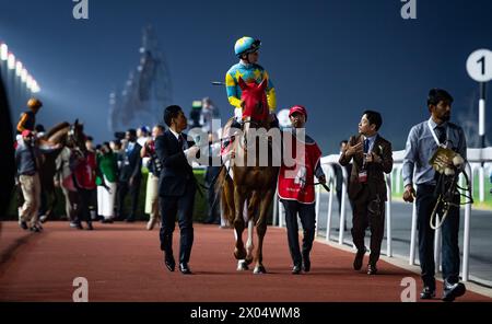 Derma Sotogake und Oisin Murphy starten zum G1 Dubai World Cup 2024, Meydan Racecourse, 24.03.30. Credit JTW equine Images / Alamy. Stockfoto