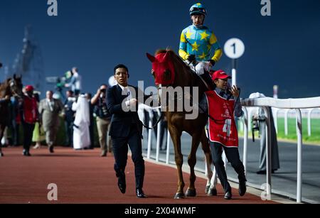 Derma Sotogake und Oisin Murphy starten zum G1 Dubai World Cup 2024, Meydan Racecourse, 24.03.30. Credit JTW equine Images / Alamy. Stockfoto