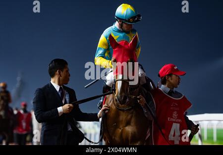 Derma Sotogake und Oisin Murphy starten zum G1 Dubai World Cup 2024, Meydan Racecourse, 24.03.30. Credit JTW equine Images / Alamy. Stockfoto