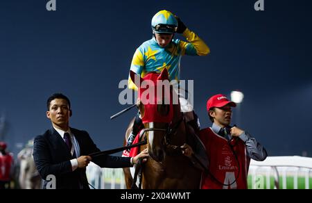 Derma Sotogake und Oisin Murphy starten zum G1 Dubai World Cup 2024, Meydan Racecourse, 24.03.30. Credit JTW equine Images / Alamy. Stockfoto