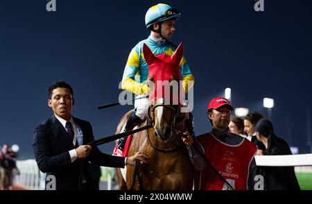 Derma Sotogake und Oisin Murphy starten zum G1 Dubai World Cup 2024, Meydan Racecourse, 24.03.30. Credit JTW equine Images / Alamy. Stockfoto