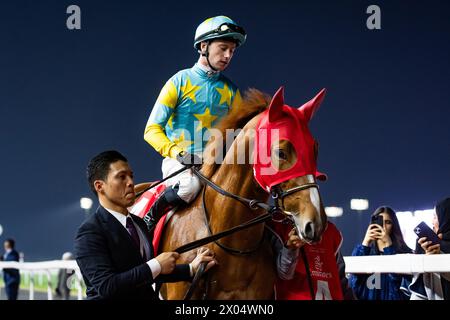 Derma Sotogake und Oisin Murphy starten zum G1 Dubai World Cup 2024, Meydan Racecourse, 24.03.30. Credit JTW equine Images / Alamy. Stockfoto