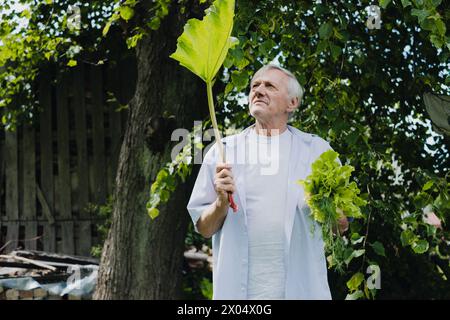 Mit einem nachdenklichen Look hält der reife Mann in lässiger Kleidung Rhabarber und zeigt eine Verbindung zur Natur und Interesse an Botanik. Hochwertige Fotos Stockfoto