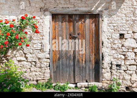Alte Holztür und Rosenstrauch im Dorf Laneia (Lania). Bezirk Limassol. Zypern Stockfoto