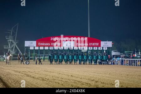 Das G1 Emirates Dubai World Cup-Feld 2024 beginnt das Rennen, das von Laurel River und Tadhg O’Shea gewonnen wurde. Credit JTW equine Images / Alamy. Stockfoto