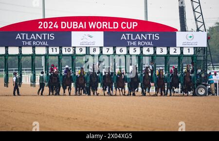 Das Feld für das 2024 Group 2 VAE Derby beginnt das Rennen auf der Meydan Racecourse, 24.03.30. Credit JTW equine Images / Alamy. Stockfoto