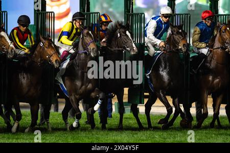 Das Feld für die Gruppe 1 Longines Dubai Sheema Classic 2024 bricht am 24.03.30. Von den Toren der Meydan Racecourse. Credit JTW equine Images / Alamy. Stockfoto