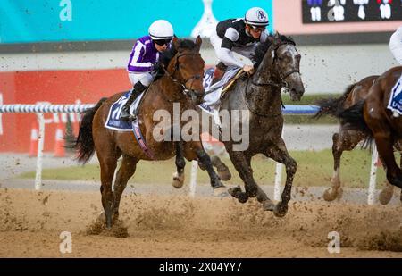 Navy Seal und Wayne Lordan kämpfen in den frühen Stadien des 2024 G2 UAE Derby, Meydan, 30.03.24. Credit JTW equine Images / Alamy. Stockfoto