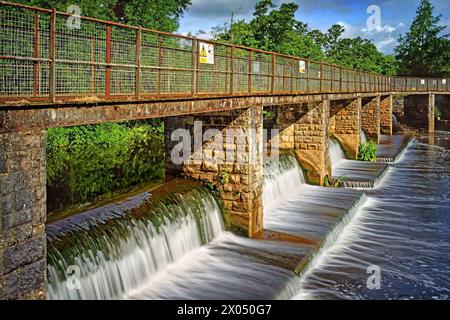 UK, Somerset, Taunton, River Tone bei French Weir. Stockfoto