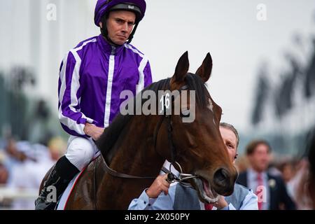 Tower of London und Ryan Moore gewinnen 2024 die Erneuerung des G2 Dubai Gold Cup für Trainer Aidan O’Brien, 24.03.30. Credit JTW equine Images / Alamy. Stockfoto