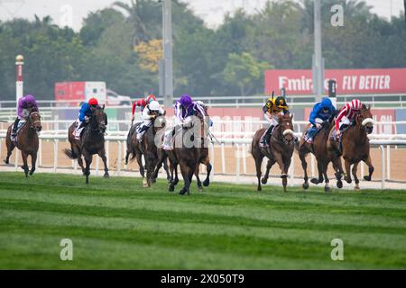 Tower of London und Ryan Moore gewinnen 2024 die Erneuerung des G2 Dubai Gold Cup für Trainer Aidan O’Brien, 24.03.30. Credit JTW equine Images / Alamy. Stockfoto