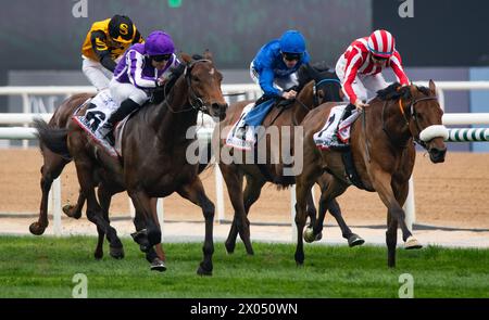 Tower of London und Ryan Moore gewinnen 2024 die Erneuerung des G2 Dubai Gold Cup für Trainer Aidan O’Brien, 24.03.30. Credit JTW equine Images / Alamy. Stockfoto