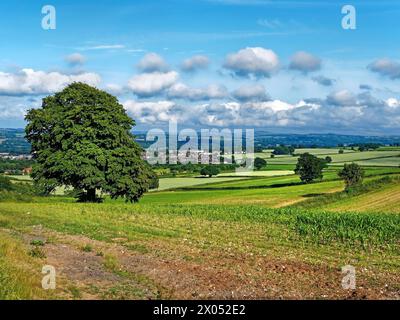 UK, Somerset, Chard, Blick vom Snowdon Hill über die Stadt und Dorset Hills. Stockfoto