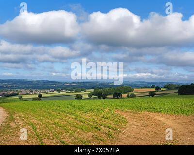 UK, Somerset, Chard, Blick vom Snowdon Hill über die Stadt. Stockfoto