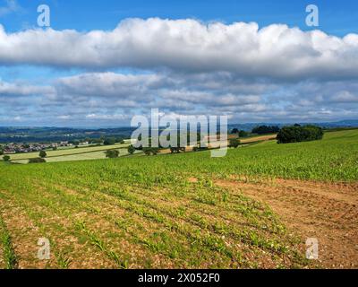 UK, Somerset, Chard, Blick vom Snowdon Hill über die Stadt. Stockfoto