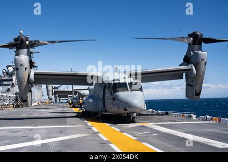 Luftfahrt Boatswain’s Mate (Handling) 2. Klasse Johnny Snowden, dem amphibischen Angriffsschiff USS Boxer (LHD 4) der Wasp-Klasse zugeteilt, und ein Eingeborener aus Atlanta leitet eine MV-22B Osprey an, die der Marine Tiltrotor Squadron (VMM) 165 (verstärkt), 15. Marine Expeditionary Unit (MEU) angehört, um während des Flugbetriebs im Pazifischen Ozean am 5. April 2024 auf dem Flugdeck zu landen. VMM-165 (rein.) Führt eine gezielte, progressive Ausbildung durch, die sich auf die Integration von MV-22 in die 15. MEU-Marine Air-Ground Task Force konzentriert, während Piloten und Flugbesatzungen ihre Kenntnisse erlangen. Boxer ist das Flaggenschiff der Boxer Stockfoto