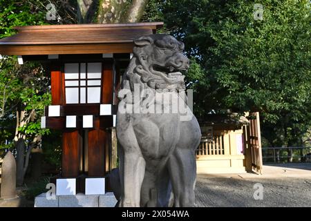 Komainu (Löwenhunde)-Statue am Tōgō-Schrein – Jingumae, Shibuya-Stadt, Tokio, Japan – 01. März 2024 Stockfoto