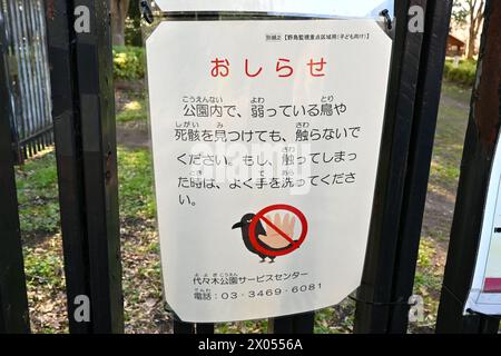Schild mit Warnung vor dem Berühren eines toten oder kranken Vogels im Yoyogi Park – Yoyogikamizonocho, Shibuya City, Tokio, Japan – 01. März 2024 Stockfoto