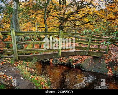 Großbritannien, Derbyshire, Peak District, Padley Gorge, Fußgängerbrücke über Burbage Brook. Stockfoto