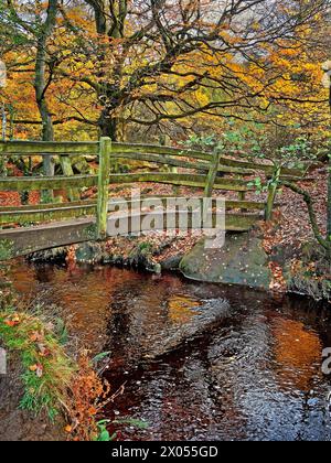 Großbritannien, Derbyshire, Peak District, Padley Gorge, Fußgängerbrücke über Burbage Brook. Stockfoto