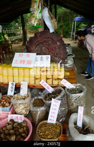 Ein kleines chinesisches Lebensmittelgeschäft bietet lokale Landwirtschaft im Zhangjiajie National Forest Park in China an. Stockfoto