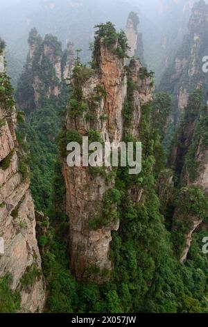 Sandsteinsäulen erheben sich über den üppigen Wald des Zhangjiajie National Forest Park in Wulingyuan Scenic Area, China. Stockfoto