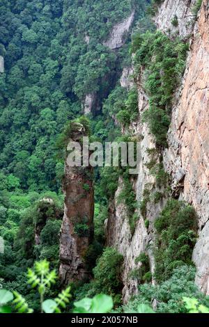 Sandsteinsäulen erheben sich über den üppigen Wald des Zhangjiajie National Forest Park in Wulingyuan Scenic Area, China. Stockfoto