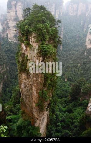 Sandsteinsäulen erheben sich über den üppigen Wald des Zhangjiajie National Forest Park in Wulingyuan Scenic Area, China. Stockfoto