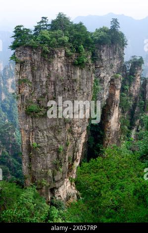 Sandsteinsäulen erheben sich über den üppigen Wald des Zhangjiajie National Forest Park in Wulingyuan Scenic Area, China. Stockfoto