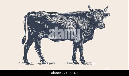 Kuh, Stier, Rindfleisch. Vintage-Retro-Druck Stock Vektor