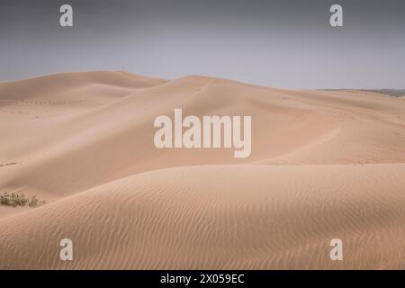 Wunderschöne unberührte Sanddünen in der Inneren Mongolei, China. Hintergrundbild, Hintergrundbild mit Kopierraum für Text Stockfoto