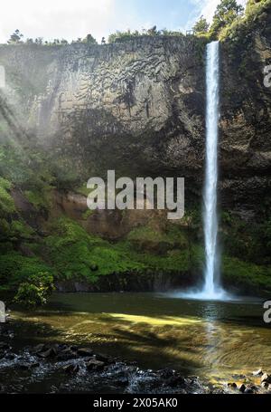 Bridal Falls neuseeland. Wairēinga Bridal Veil Falls in der Gegend von Raglan in der Region Waikato Stockfoto