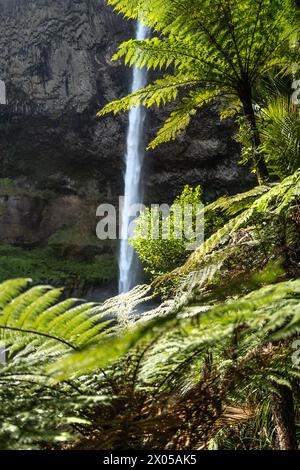 Bridal Falls neuseeland. Wairēinga Bridal Veil Falls in der Gegend von Raglan in der Region Waikato Stockfoto