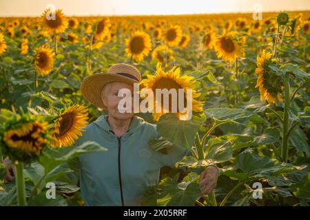 Eine Frau mit Strohhut steht auf einem Feld mit Sonnenblumen. Die Sonne untergeht im Hintergrund und strahlt ein warmes Leuchten über die Szene. Die Frau ist es Stockfoto