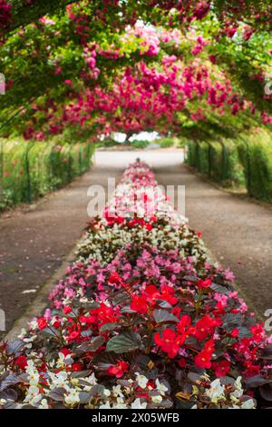 Point Defiance Park in Tacoma, Washington, USA Stockfoto