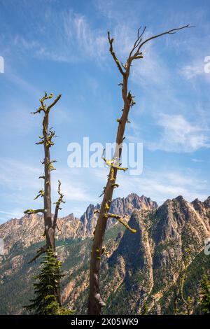 Washington Pass Observation Site, malerischer Ort in Mazama, Washington State, USA Stockfoto