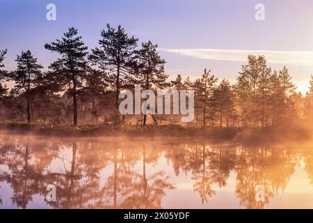 Wunderschöner Sonnenaufgang mit Nebel an einem Waldsee auf einem Moor Stockfoto