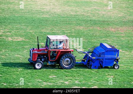 Traktor, der Gras mit einem Rasenmäher schneidet Stockfoto