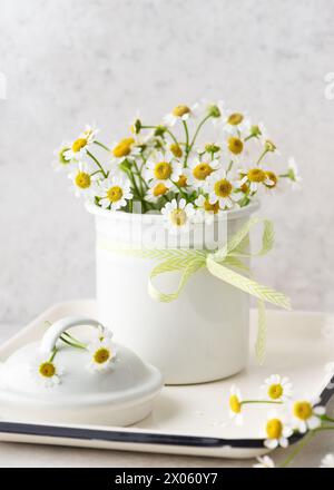 Wunderschönes floristisches Arrangement mit wilden weißen Kamillenblüten in einem Emailletopf. Gesunder Lebensstil oder Kräuterkonzept. (Matricaria chamomilla) Stockfoto