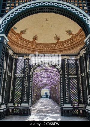 Wien, Österreich, Österreich. April 2024. Wisterienblüten in voller Blüte auf einem Spalierüberhang mit einem darunter liegenden Weg im Schönbrunner Garten in Wien (Bild: © Bianca Otero/ZUMA Press Wire) NUR REDAKTIONELLE VERWENDUNG! Nicht für kommerzielle ZWECKE! Stockfoto