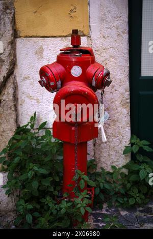 Roter Hydrant aus der Nähe in Lissabon, Portugal. Stockfoto