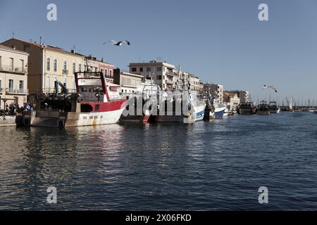 Sete, Frankreich, 16. April 2022. Fischerboote und Möwen während der Escale à Sete, dem ersten Meetin in Sete, Frankreich Stockfoto