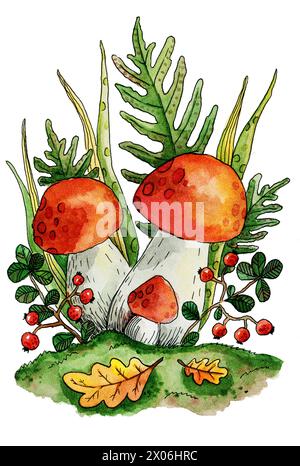 Aquarellillustration Herbstpilze und Preiselbeeren auf dem Hintergrund von Farn und Kräutern. Niedliche Illustration eines Herbstwaldes. Herbststimmung. Su Stockfoto