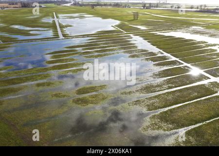 Feuchtgebiet im Nationalpark, Niederlande, de Biesbosch Nationalpark Stockfoto
