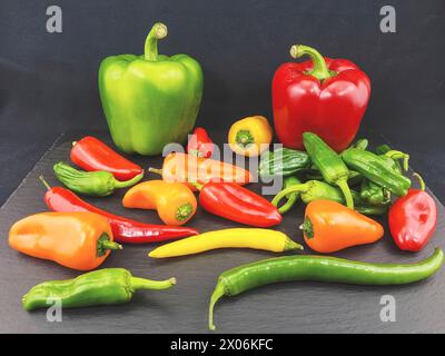 chili-Pfeffer, Paprika (Capsicum annuum), verschiedene Paprika und Chili-Paprika Stockfoto