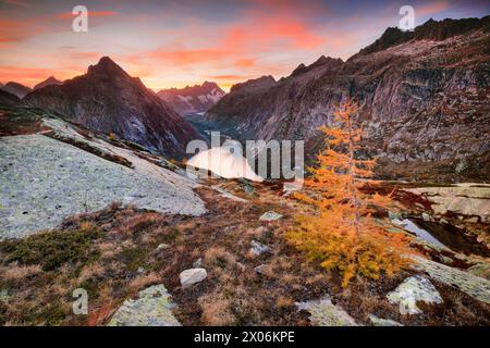 Schweizer Alpen im Herbst, Grimselsee und Lauteraarhorn, Schweiz, Berner Oberland Stockfoto